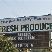 Dugualla Bay Farms (Oak Harbor, Washington)