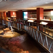 Factoría Romana De Salazones, Mazarrón