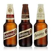 Bohemia Beer