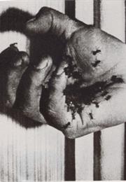 Un Chien Andalou (1929, Luis Buñuel)