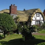 Hobbit House