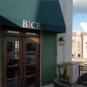 Bice