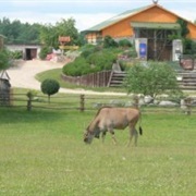Kalvenes Zoo