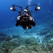 Take Underwater Pictures