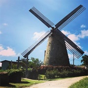 Morgan Lewis Windmill
