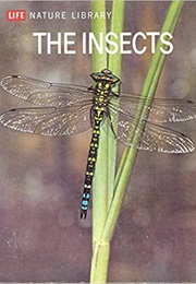 The Insects (Peter Farb)
