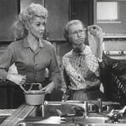 The Beverly Hillbillies: Turkey Day