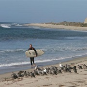 San Onofre State Beach, California