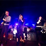 The New Pornographers