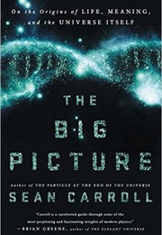 The Big Picture: On the Origins of Life, Meaning, and the Universe Itself (Sean Carroll)