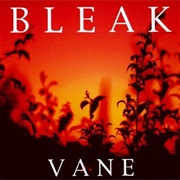 Bleak- Vane