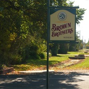 Brown Brothers Vineyard