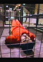 Torture: The Guantanamo Guidebook (2005)