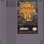Double Dragon 3
