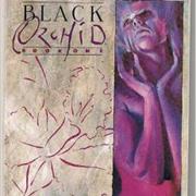 Black Orchid