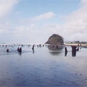Neskowin Beach State Recreation Site, Oregon