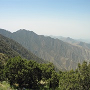 Saudi Arabia: Jabal Sawda (9,843 Ft)