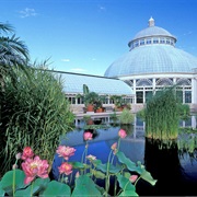 New York Botanical Gardens