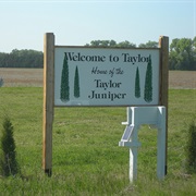 Taylor, Nebraska