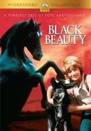 Black Beauty