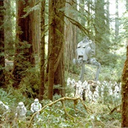Endor