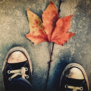 Join Foto Ruta Clue.