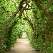 Neustadt Am Rübenberge
