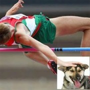 Dog Petting Photoshops