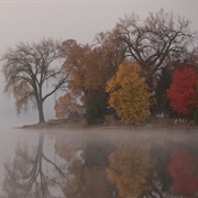 The Colors of Autumn