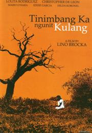 Weighed but Found Wanting