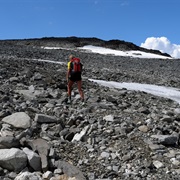 Lauvhøe (Store Lauvhøi)