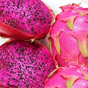 Costa Rican Pitahaya (Hylocereus Costaricensis)