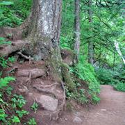 Horsetail/ Oneonta Loop