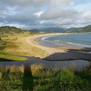Waikawau Bay - Coromandel