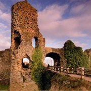Pevensey Castle (EH)