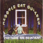 Cymbals Eat Guitars - Why There Are Mountains