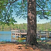 F.D. Roosevelt State Park, Georgia
