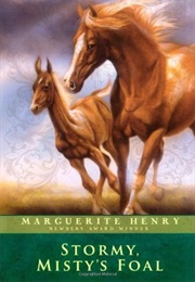 Stormy, Misty&#39;s Foal (Marguerite Henry)
