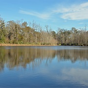 Palmetto Island State Park, Louisiana