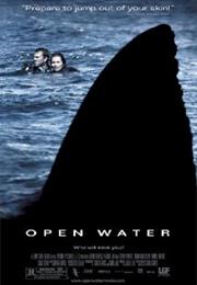 Open Water (2003)