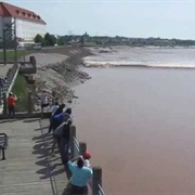 Moncton Tidal Bore