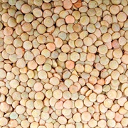 #47:  Appetizers and Snacks: Lentil-Pecan Country-Style Pate