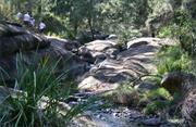 Towarri National Park (NSW)