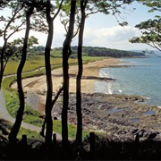 Crawfordsburn Country Park