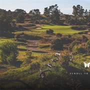 Bandon Trails G.C, OR, USA