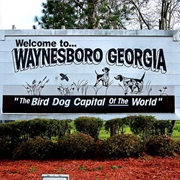 Waynesboro, Georgia