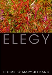 Elegy (Mary Jo Bang)