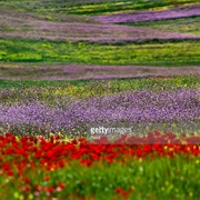 Lerik District, Azerbaijan