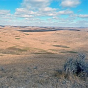Cedar River National Grassland