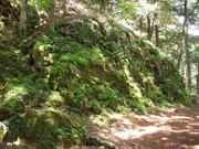 Bartholomew's Cobble (Massachusetts)